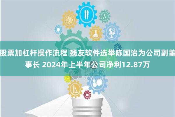 股票加杠杆操作流程 残友软件选举陈国治为公司副董事长 2024年上半年公司净利12.87万