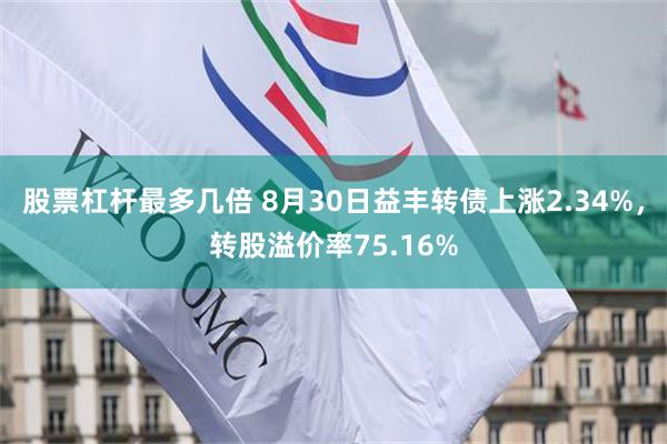 股票杠杆最多几倍 8月30日益丰转债上涨2.34%，转股溢价率75.16%