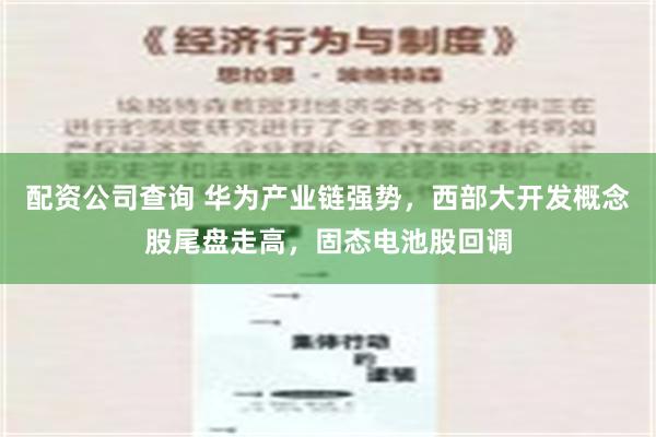 配资公司查询 华为产业链强势，西部大开发概念股尾盘走高，固态电池股回调