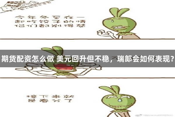 期货配资怎么做 美元回升但不稳，瑞郎会如何表现？